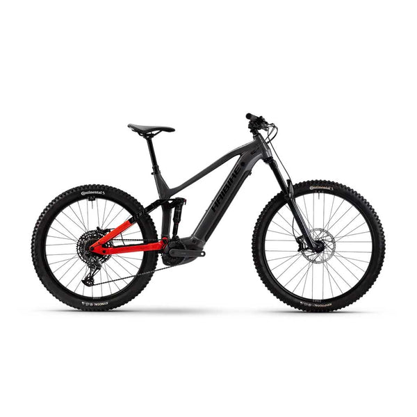 Bicicleta eléctrica Haibike ALLMTN 4 Gris
