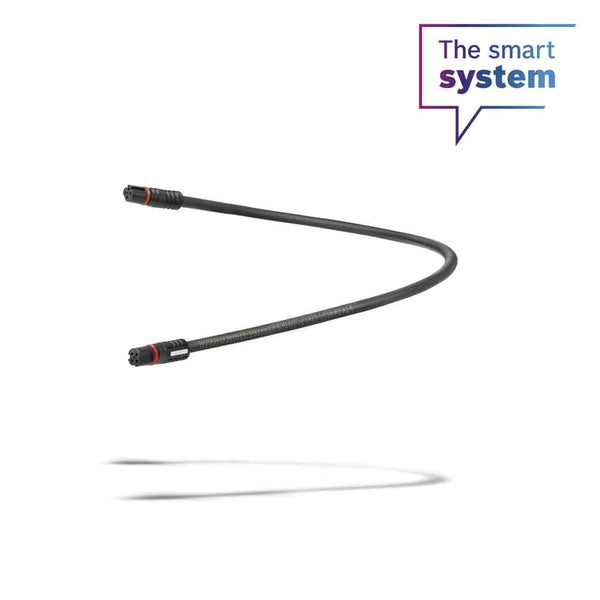 Cable de display de 100 mm (BCH3611_100)