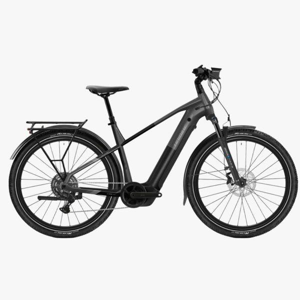 Bicicleta elŽctrica Haibike Trekking 6.5 High stardust/titan 2026