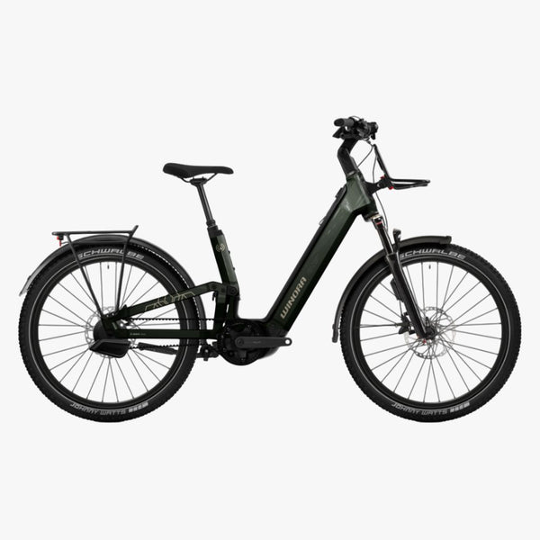 Bicicleta eléctrica de Trekking Winora SINUS FS ENV Low GL forest mist/morning mist - glossy 2026