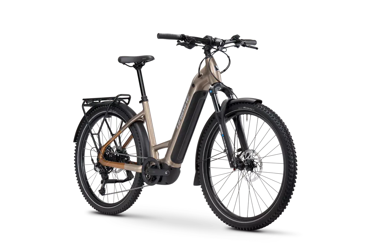 Bicicleta eléctrica Haibike TREKKING 6.5 Low