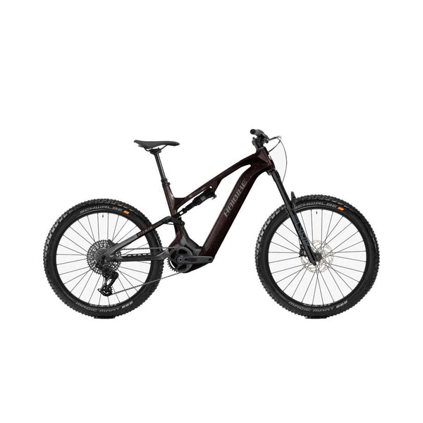 Bicicleta eléctrica Haibike ALLMTN CF 9 / C2