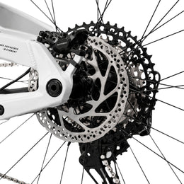 ALLTRAIL 4 (2026)