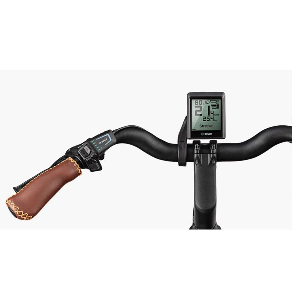 Bicicleta eléctrica Riese & Müller Swing4 silent
