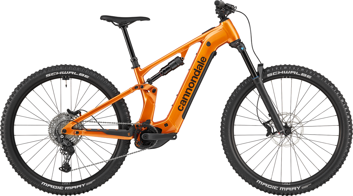 Moterra 4 · Tiger Eye