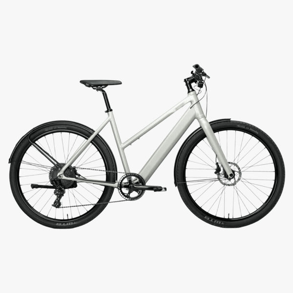 Bicicleta eléctrica de Trekking Coboc Merano TPZ Riesling Silver