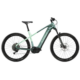 #Color_Verde