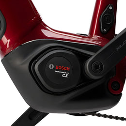 #Color_Rojo