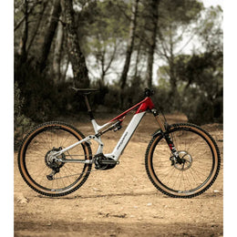 MEGAMO REACH FS 10 2026 · Gris · MG42010202C · B2B AUTH_B2B_COLOR_GROUP_232 · IMG cb2ded6c3121f913