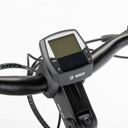 Bicicleta eléctrica Winora SINUS R5F