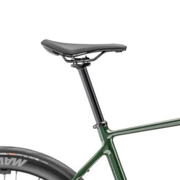 #Color_Verde