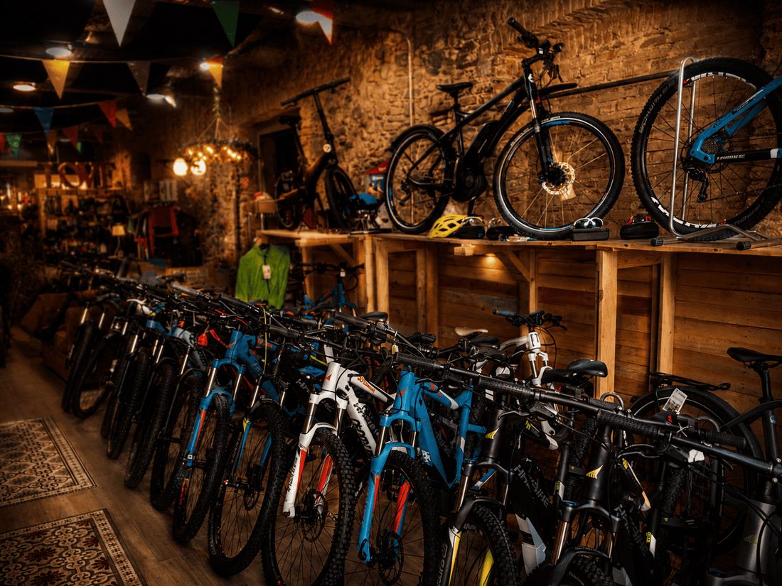 Primera tienda LaBosch